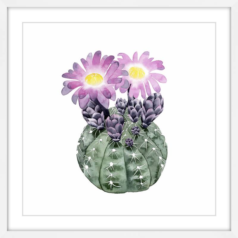 Cactus Bloom IV' Framed Painting Print
