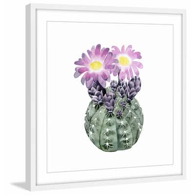 Cactus Bloom IV' Framed Painting Print