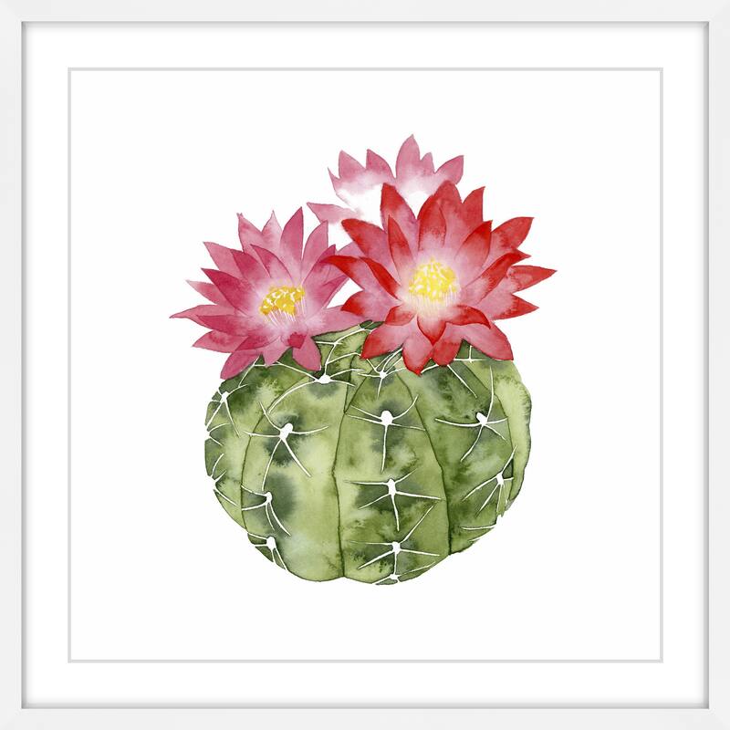 Cactus Bloom III' Framed Painting Print