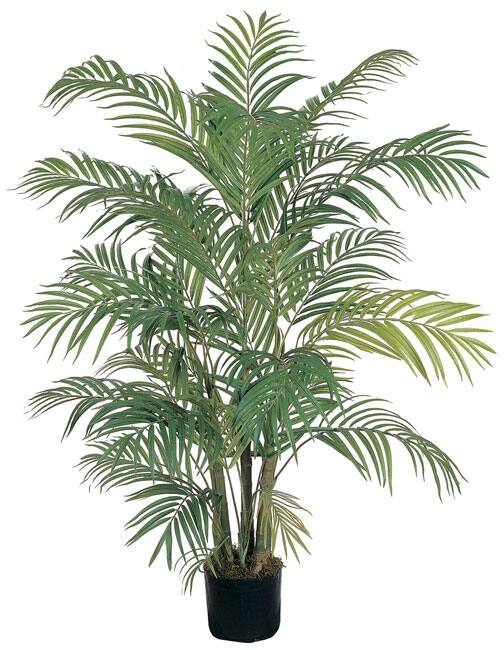The Curated Nomad Zaius Areca Silk Palm Tree