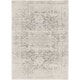 Esther Vintage Traditional Area Rug - 2' x 3' - Grey