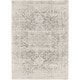 preview thumbnail 28 of 66, Livabliss Esther Vintage Traditional Area Rug 2' x 3' - Grey