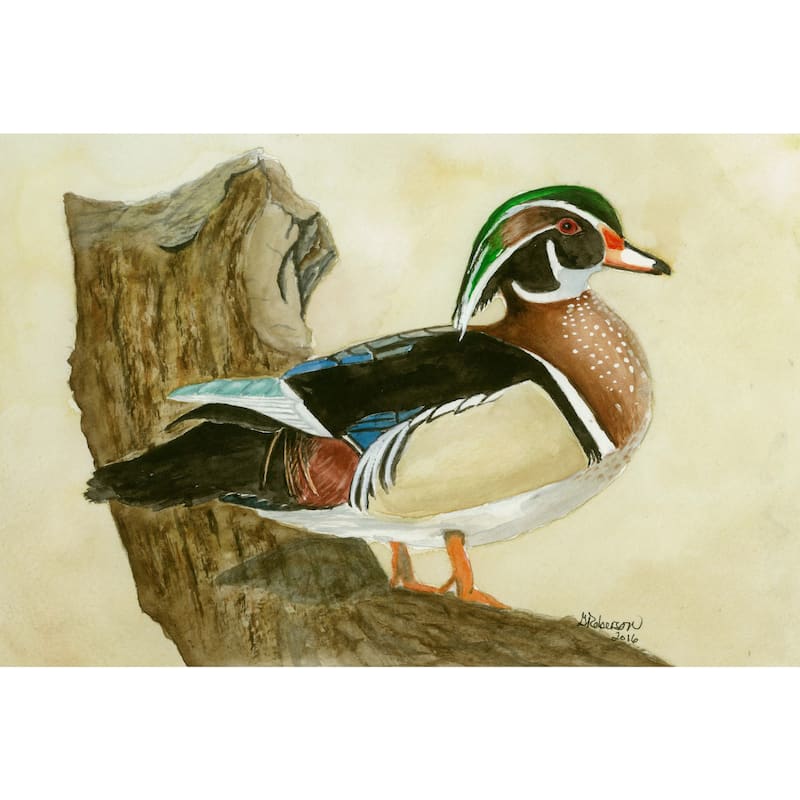 'Woodduck' Painting Print on Wrapped Canvas - Multi-Color