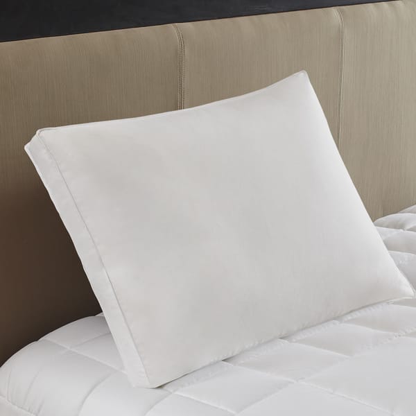 Shop Hampton Hill Firm White Feather And Down 2 Inch Gusset Pillow