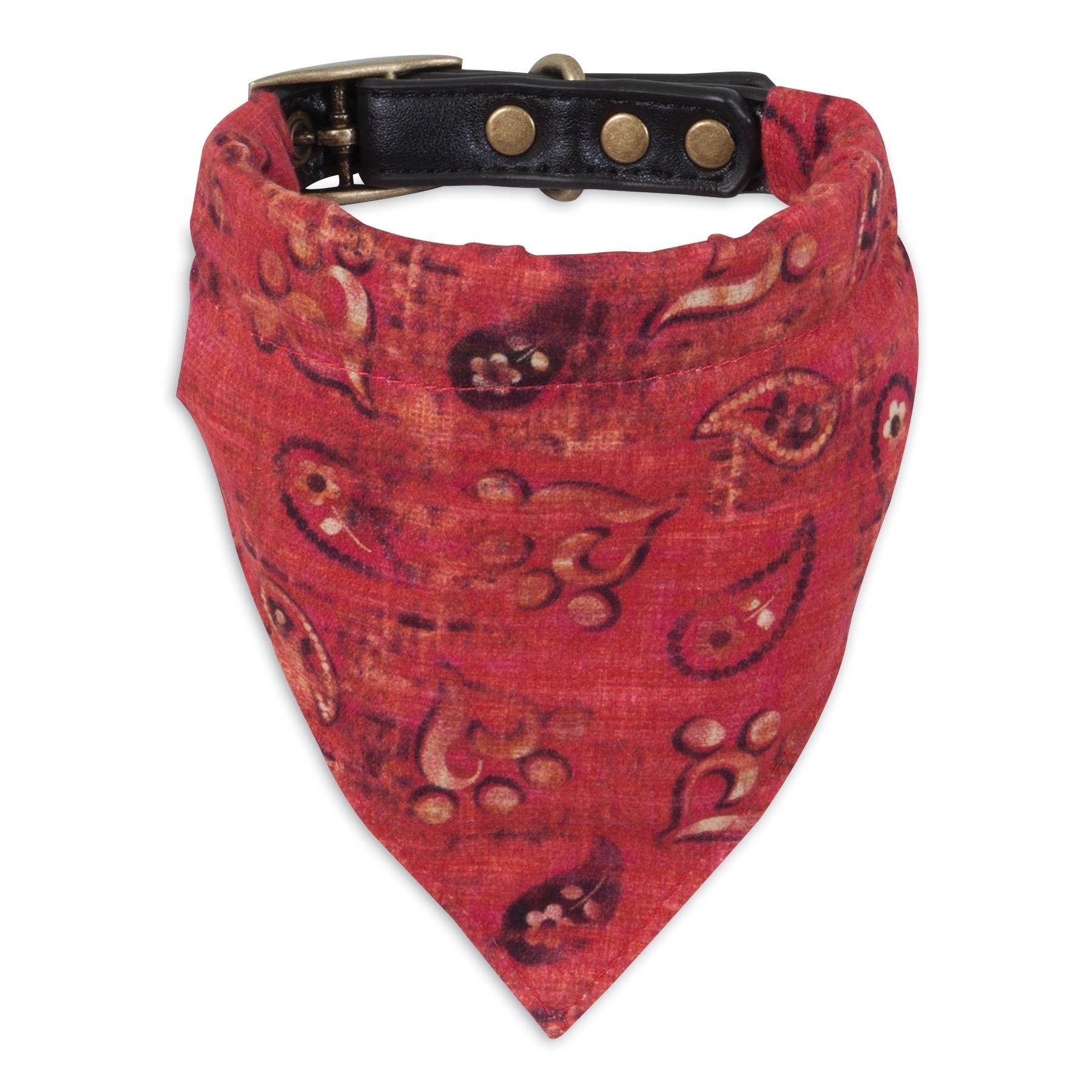 dog collars and bandanas