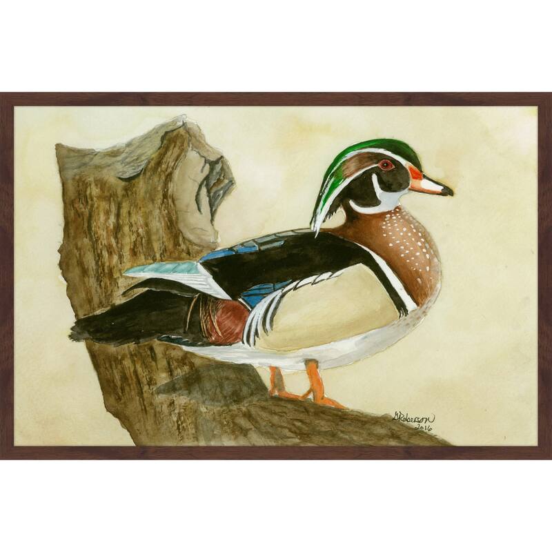 'Woodduck' Framed Painting Print