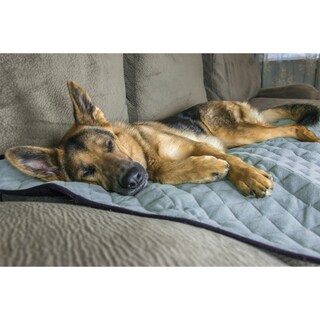 furhaven thermanap plush velvet selfwarming pet blanket