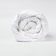 preview thumbnail 2 of 2, 1221 Bedding Cambric Cotton White Down Comforter