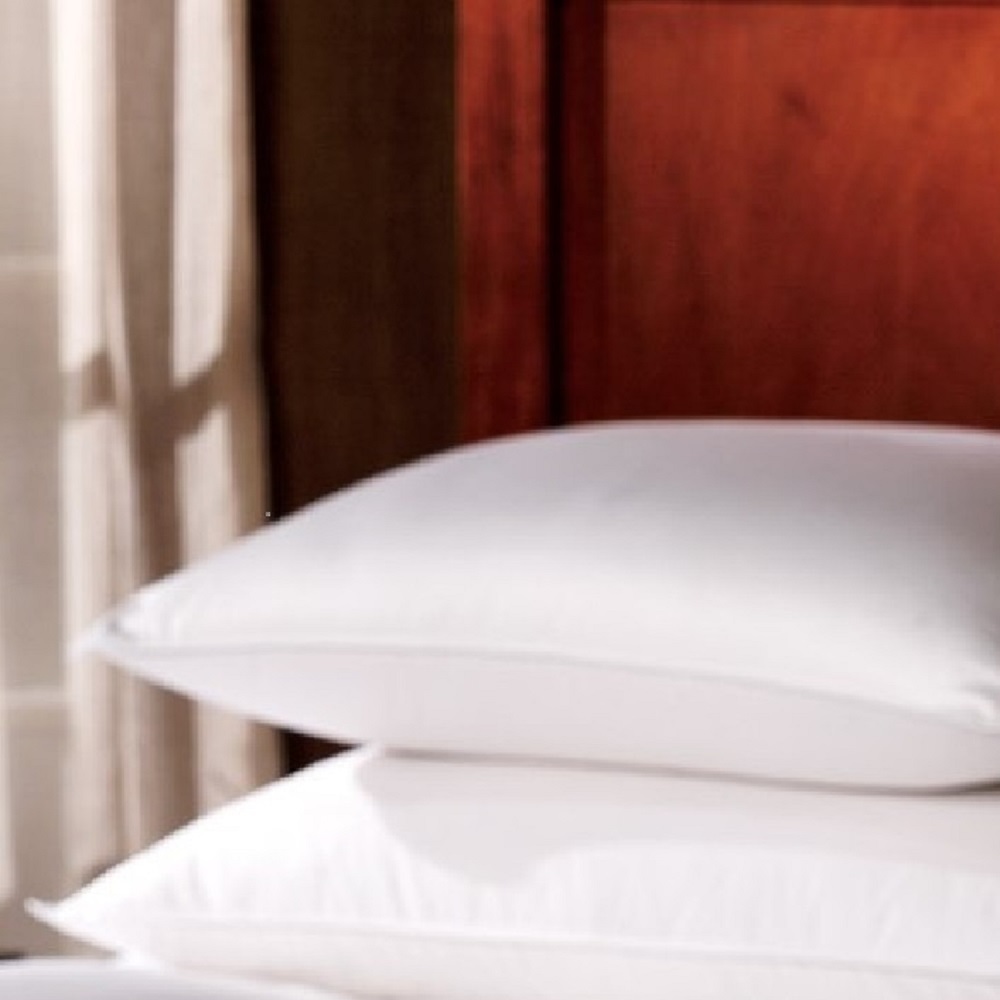 1221 Bedding Premium Luxury German Batiste Siberian Goose Down Pillow - White