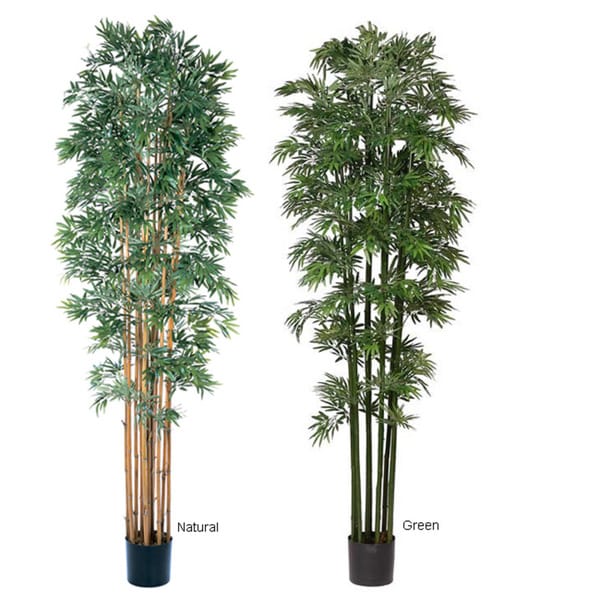 Silk Bamboo Japanica 6-foot Tree