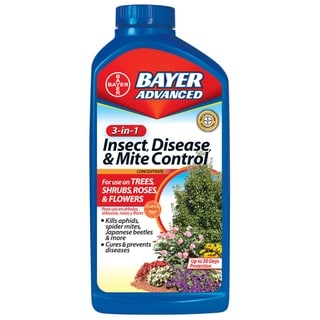 Bayer Advanced Insectide Bayer Advanced 3-in-1 Insect Disease and Mite Control Concentrate, 32 ...