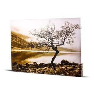 American Art Decor Standing Tree Shore of Loch Etive Black and White ...