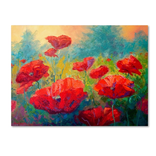 Marion Rose 'Field of Poppies' Canvas Art - - 16171738