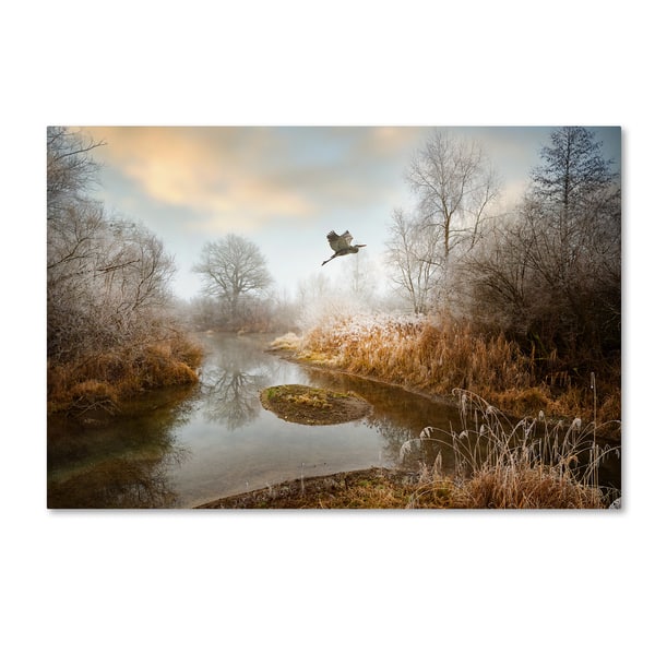 slide 2 of 3, Philippe Sainte-Laudy 'Dear World,' Canvas Art