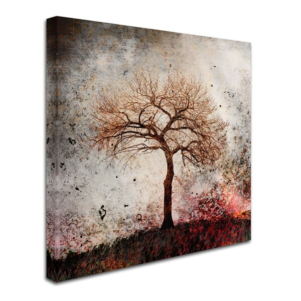 CottonWood deals Canvas