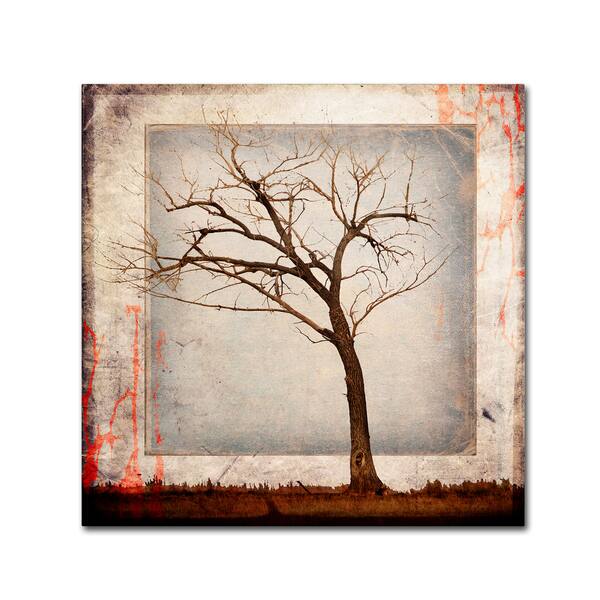 LightBoxJournal 'Cottonwood Tree Part 05' Canvas Art - Bed Bath ...