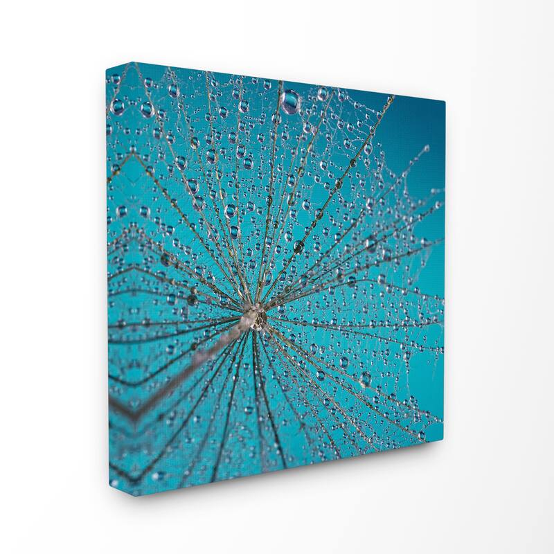Stupell Dandelion Rain Drops Stretched Canvas Wall Art Bed Bath