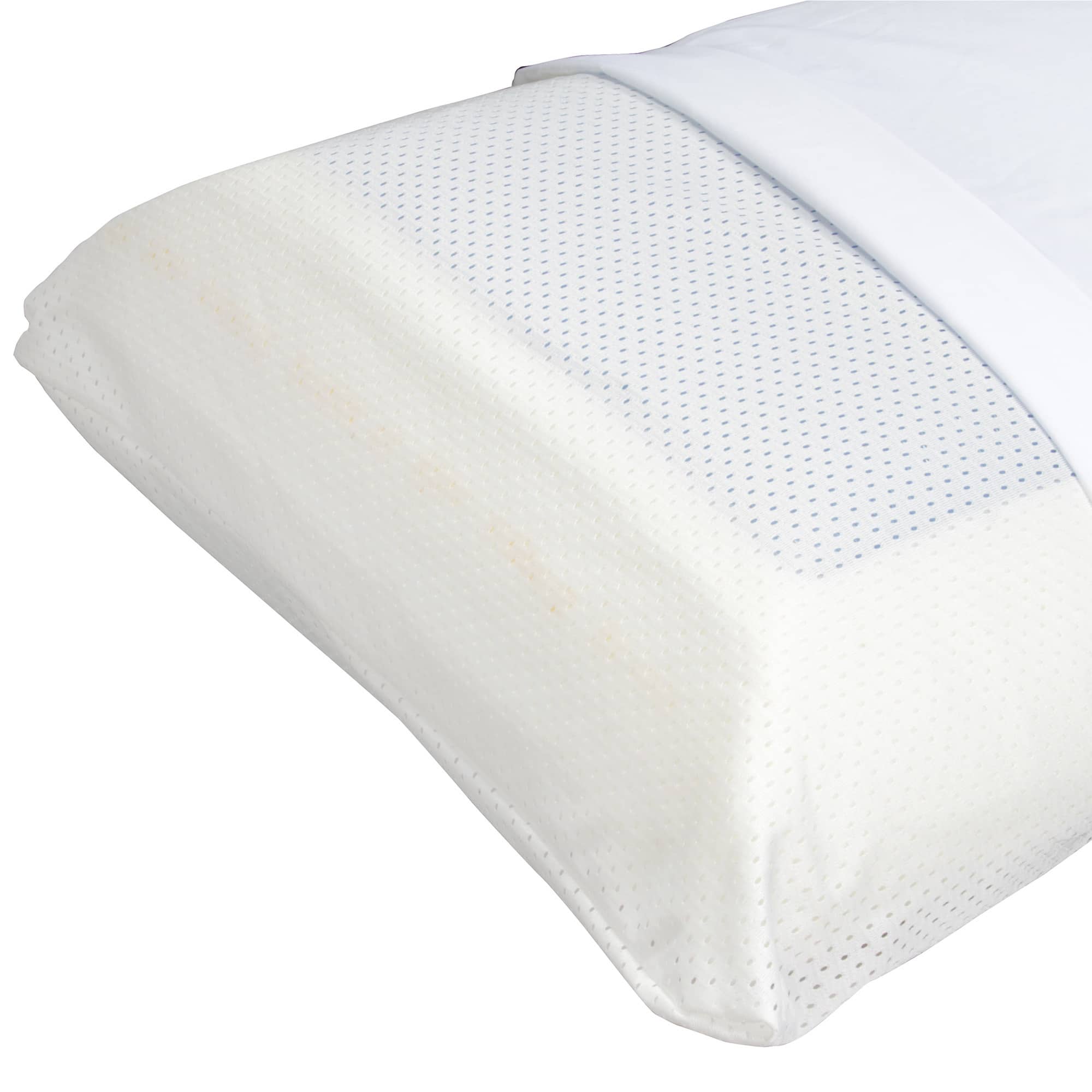 Memory Foam Pillows For Less Overstock.com