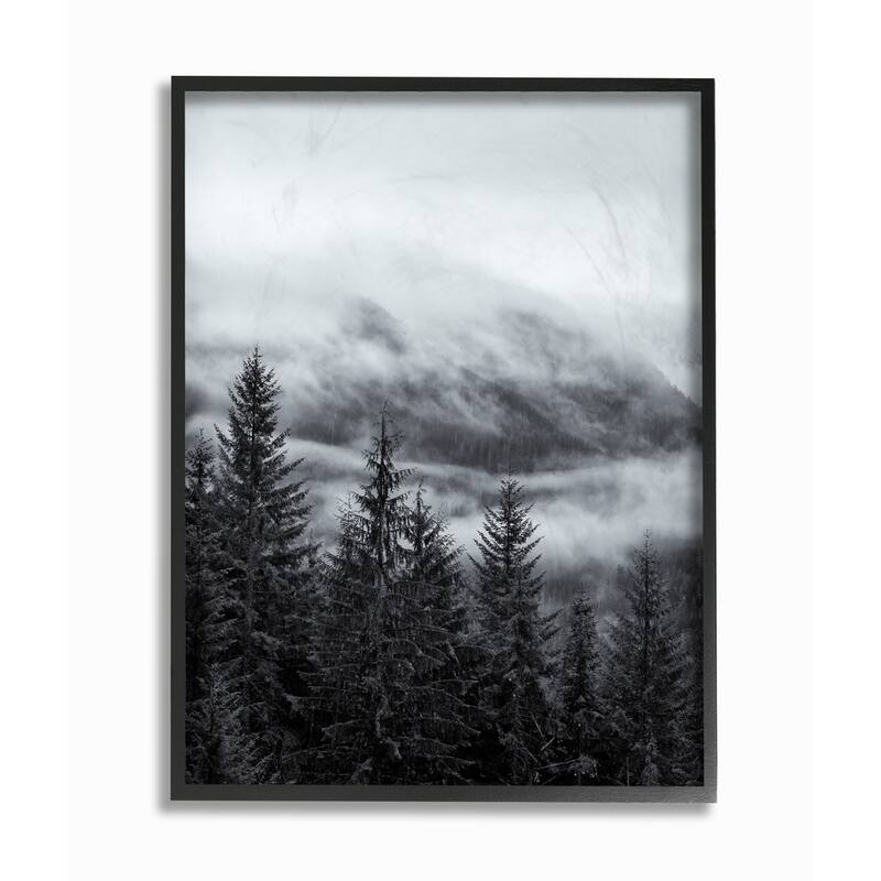 Stupell Snowy Mountain Pine Photograph Framed Giclee Texturized Art