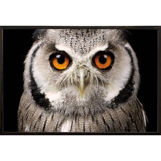 slide 2 of 2, Owl Face Poster in a Walnut Wood Frame (36x24)