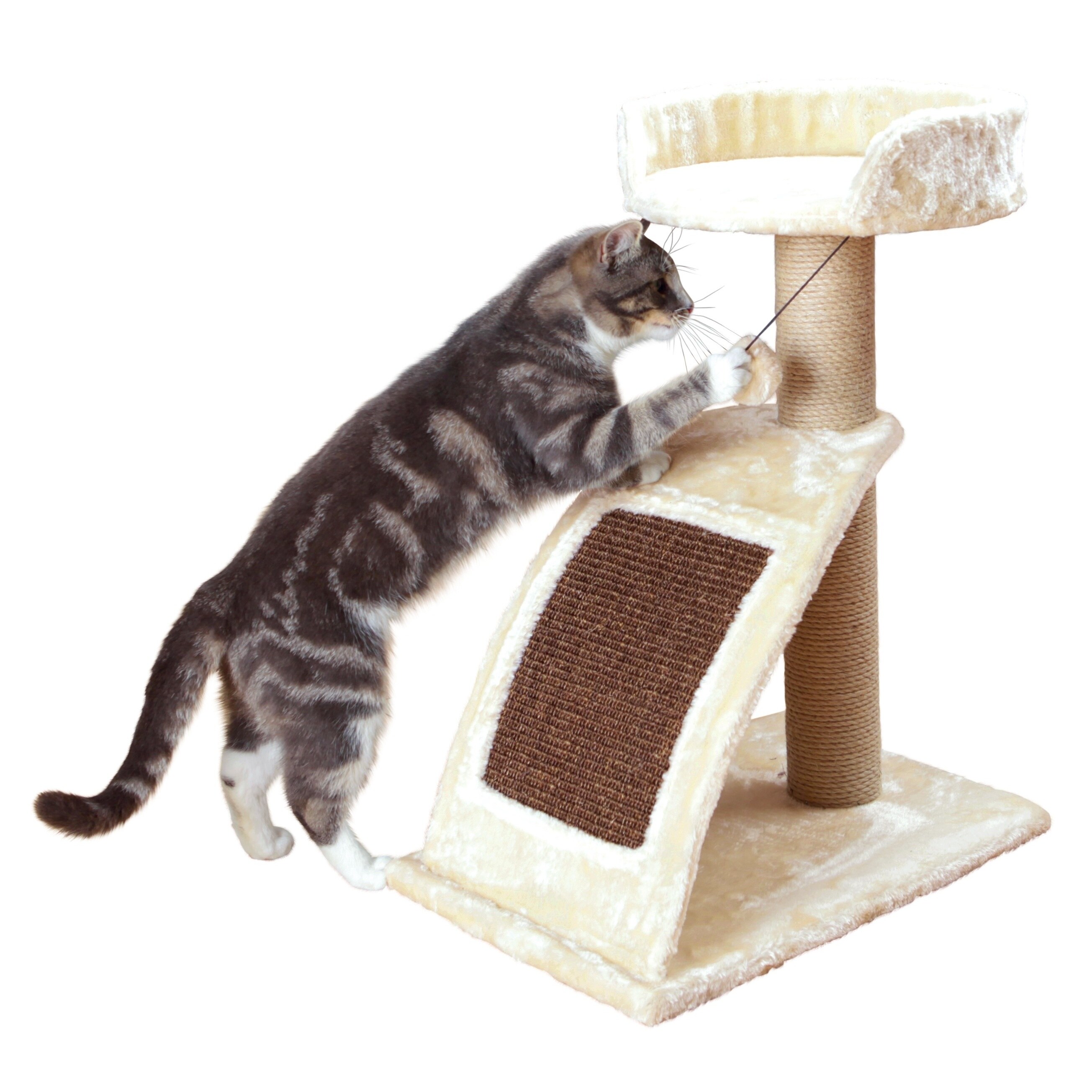 TRIXIE Bionda Beige Cat Scratching Post Beige eBay