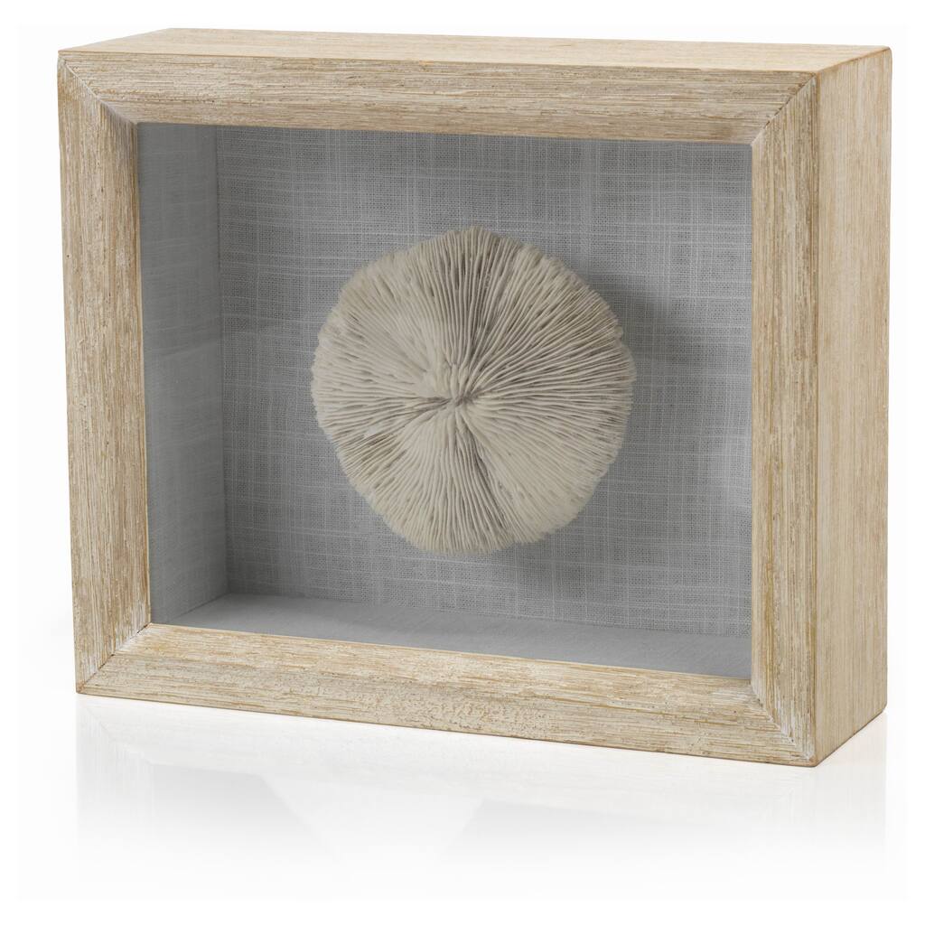 12" Long Coral Shadow Box Sculpture, Mushroom