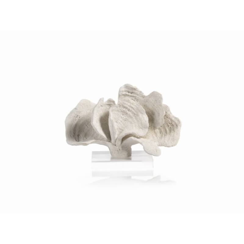 "Kai" 7" Tall Coral Sculpture, Acrylic Base