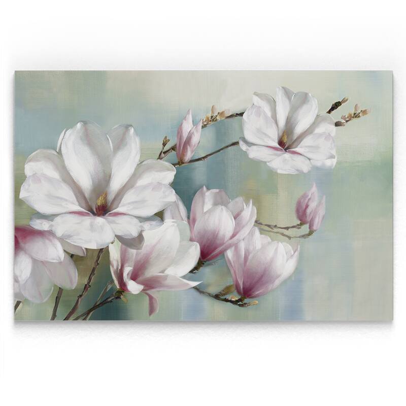 Magnolia Blooms