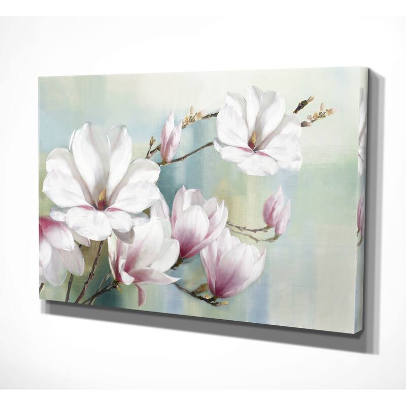 Magnolia Blooms