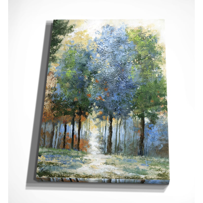 Afternoon Light
