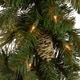Shop 9 ft. Carolina Pine Garland with Battery Operated LED Lights ...