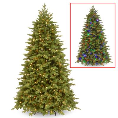 7.5ft. PowerConnect Princeton Fraser Fir with Dual Color LED Lights