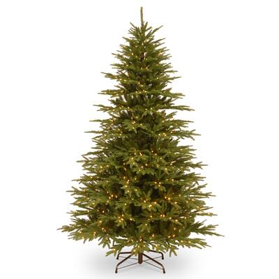 National Tree Company 7.7-foot Monterey Fir Tree with Clear Lights
