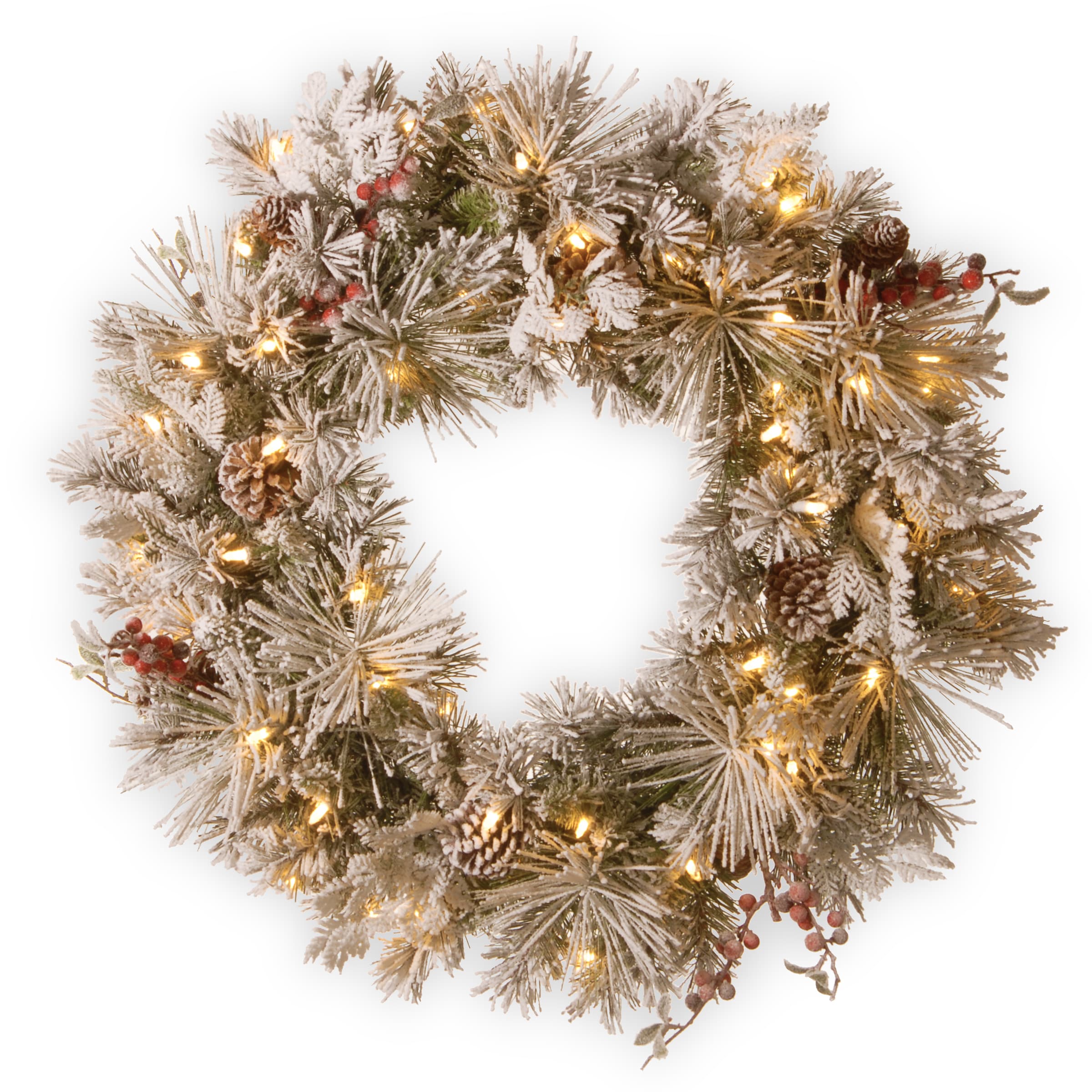 National Tree Company 9 ft. Snowy Morgan Spruce Garland with Twinkly LED Lights