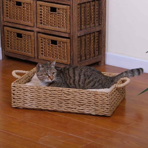 Bed bath and beyond cat bed sale