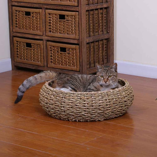 seagrass cat bed