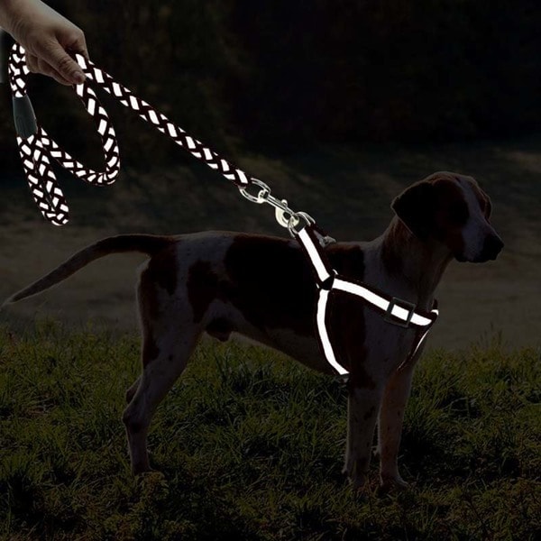 reflective dog harness and leash