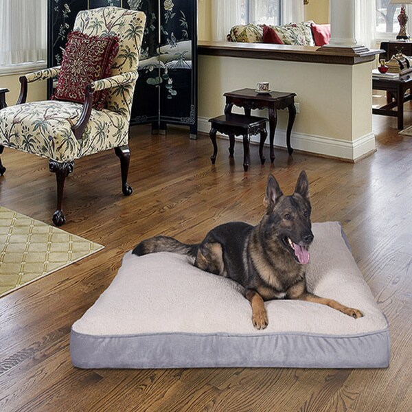 Superior Support Memory Foam Dog Bed Bed Bath Beyond 16411646