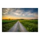 Noir Gallery Sunset Over Rural Farm Fields and Dirt Road in ...