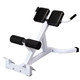 N-027 Back Hyperextension Bench Roman Chair White & Black - Thumbnail 0