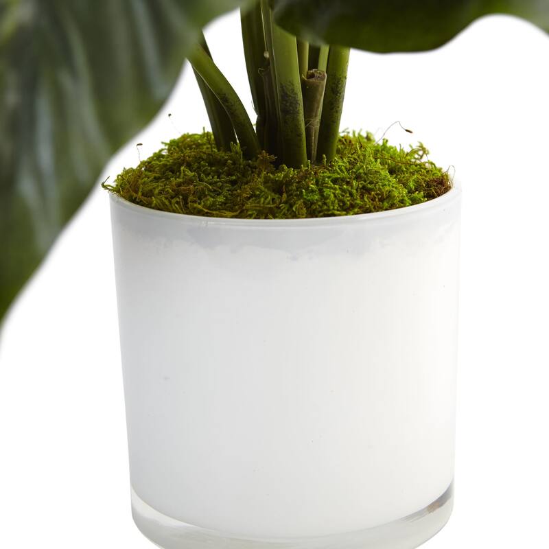 Nearly Natural Silk Artificial Spathifyllum in Glossy Glass Planter