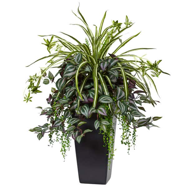 Nearly Natural Wandering Jew and Spider Plant in Black Planter - Bed Bath &  Beyond - 16564208