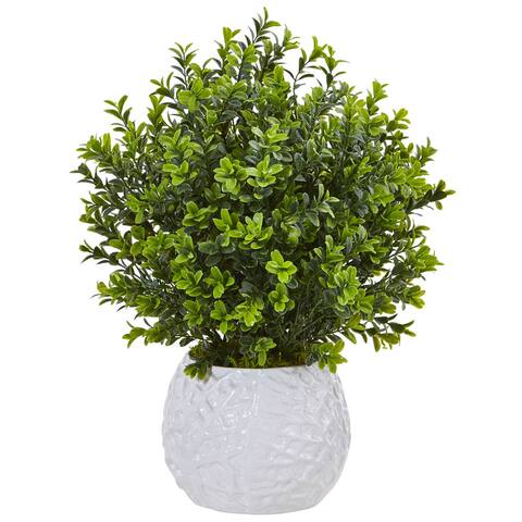 Nearly Natural Boxwood in White Vase (Indoor/Outdoor)