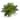 Nearly Natural Green/White Faux Boston Fern in Planter
