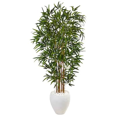 5-foot Bamboo Tree in Oval White Planter