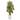 Nearly Natural Silk 4-foot Artificial Bamboo Tree in White Oval Planter