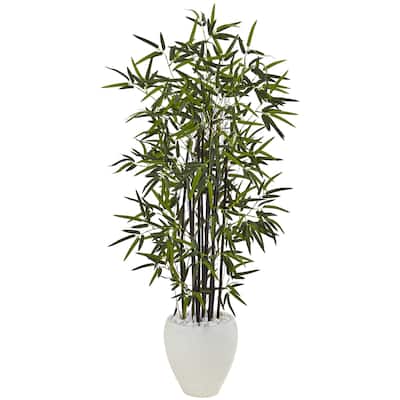 Black Bamboo 5-foot Tree in White Oval Planter