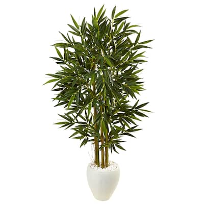 5.5-foot Bamboo Tree in White Oval Planter