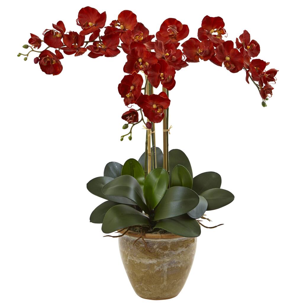 Nearly Natural Triple Stem Phalaenopsis Seasonal Arrangement