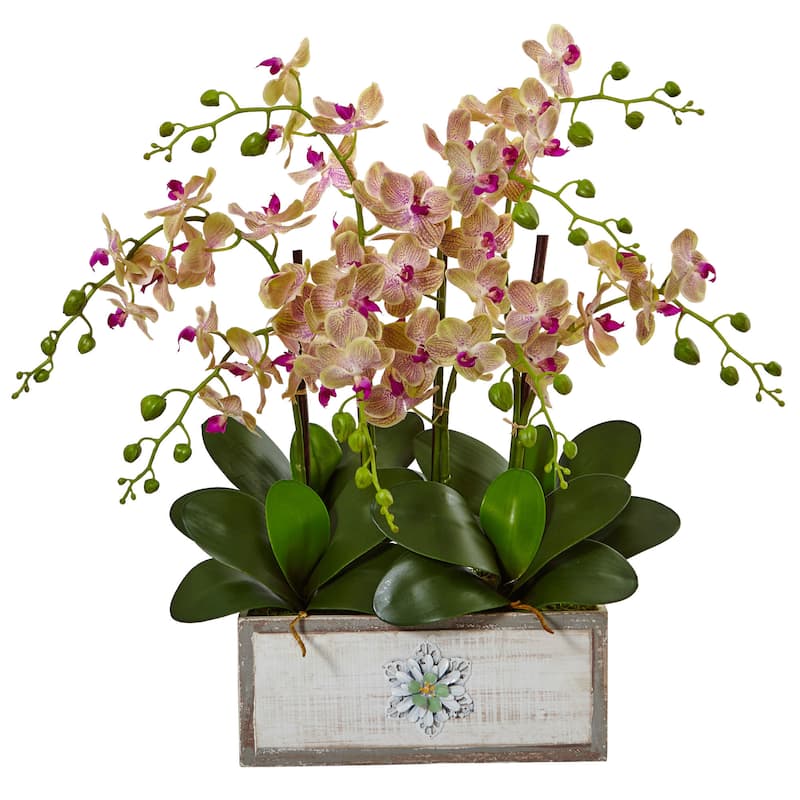 Nearly Natural Phalaenopsis Orchid Arrangement In Decorative Wood Vase 